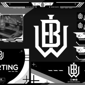 Custom Twitch Package - Standard