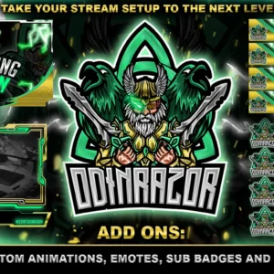 Custom Twitch Package - Premium